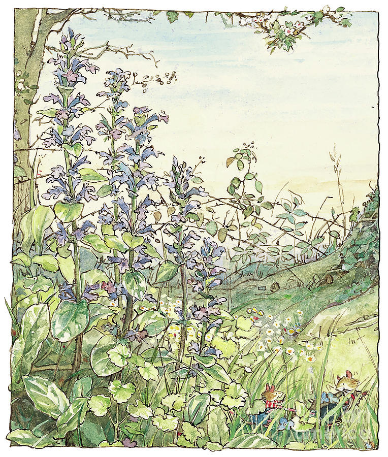 on-the-way-to-the-store-stump-brambly-hedge bookmarin illustration