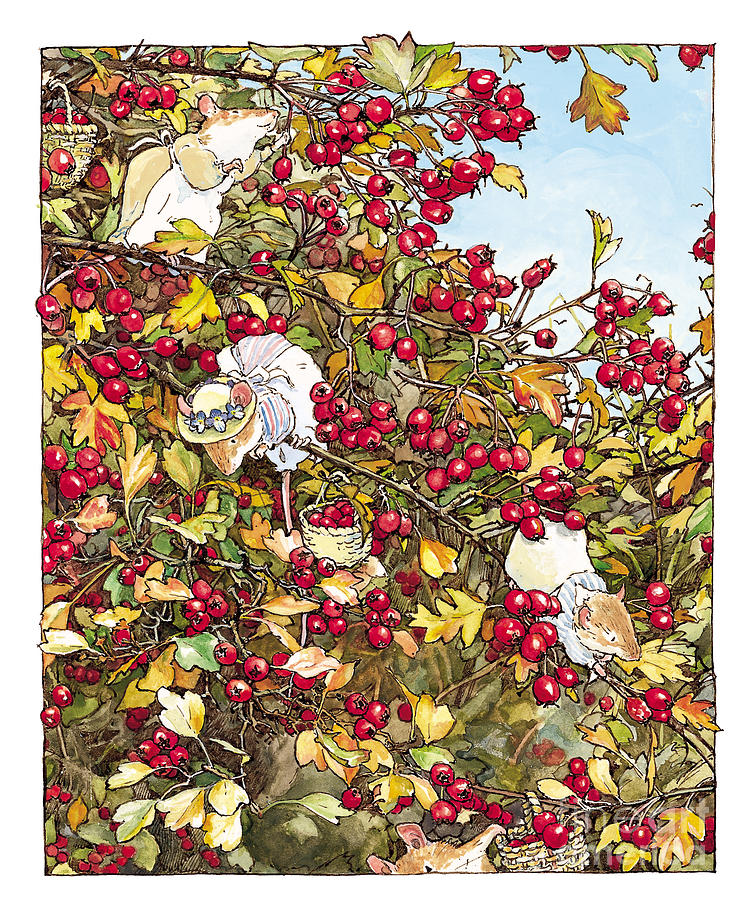 the-blackthorn-bush-brambly-hedge bookmarin illustration